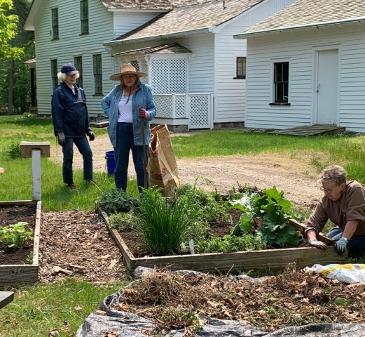 Agency Photo  (271981)