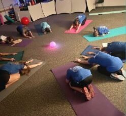 Agency Photo  (272165)