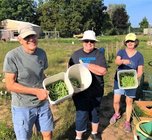 Agency Photo  (255173)