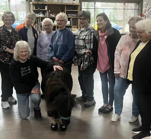 Agency Photo  (255483)