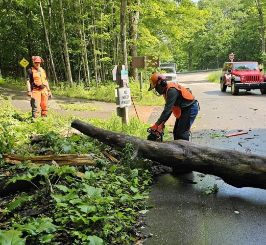 Agency Photo  (255972)