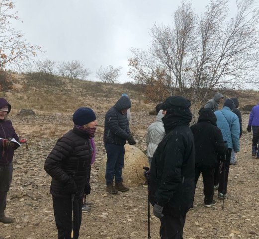 Agency Photo  (256025)