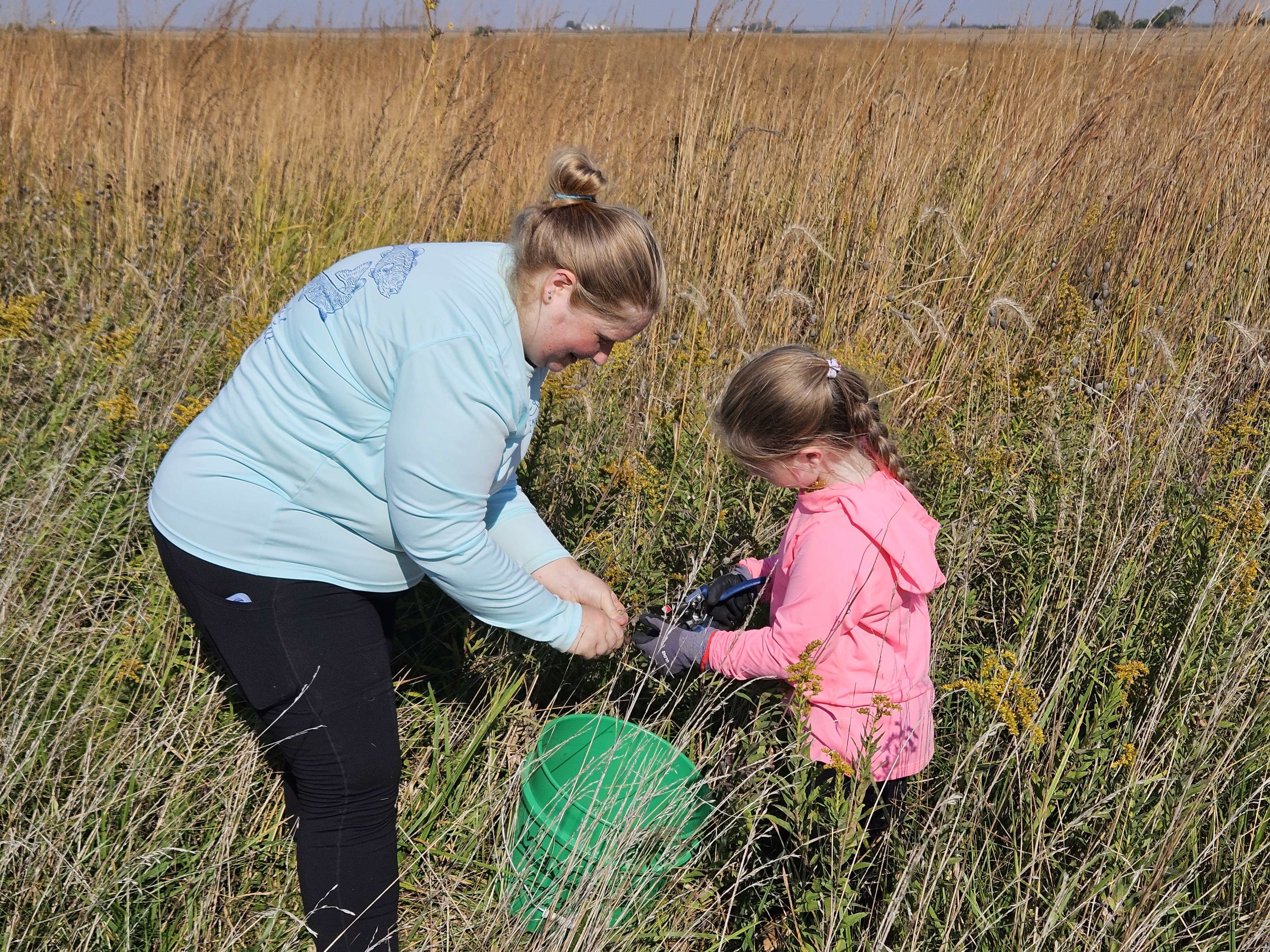 Mother and daughter volunteer team collecting seeds in the prairie