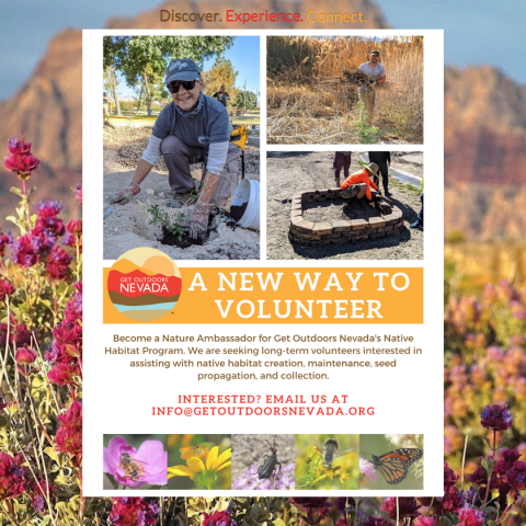 Organization Photo  (156311)