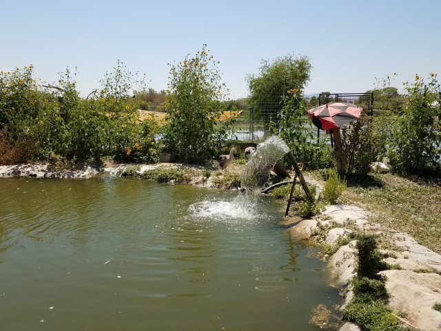 Organization Photo  (156559)