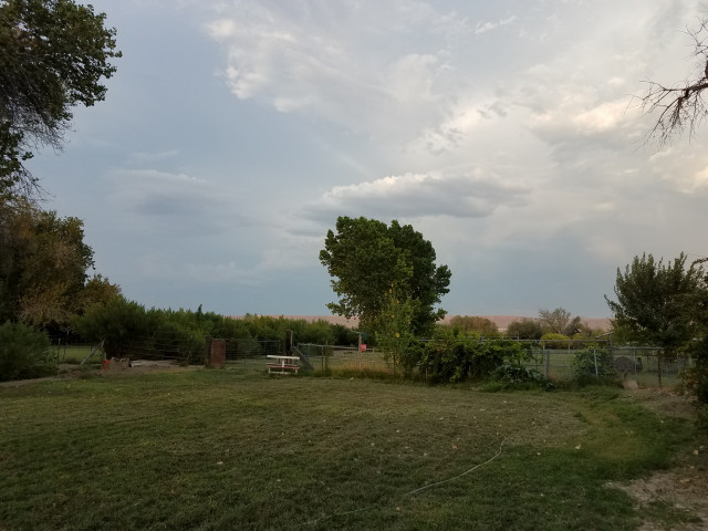 Organization Photo  (156558)