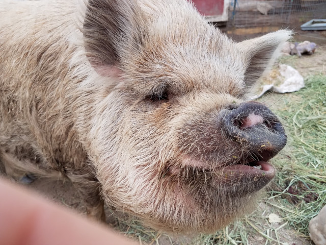 Organization Photo  (156557)