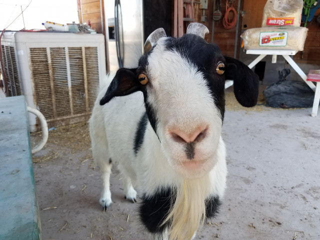 Organization Photo  (156560)