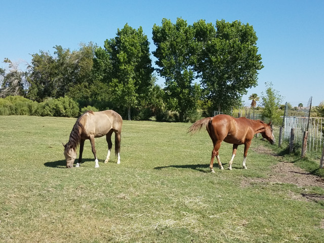 Organization Photo  (156562)