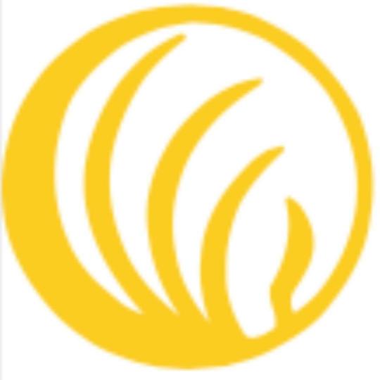 Organization Logo