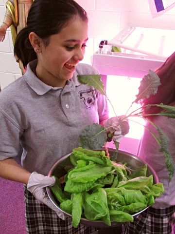 Organization Photo  (174073)