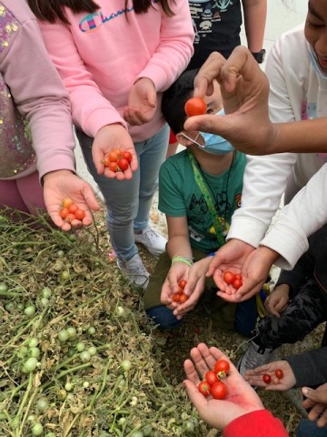 Organization Photo  (195118)