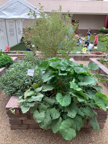 Organization Photo  (195119)