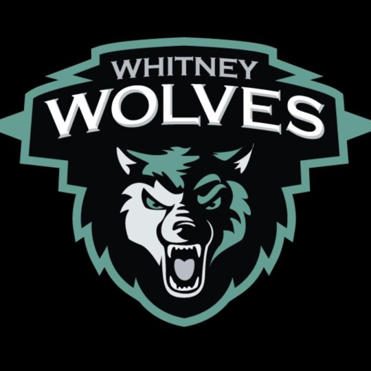 Organization Logo