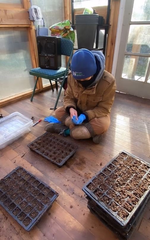person dressed in winter clothes placing seeds in a tray with soil