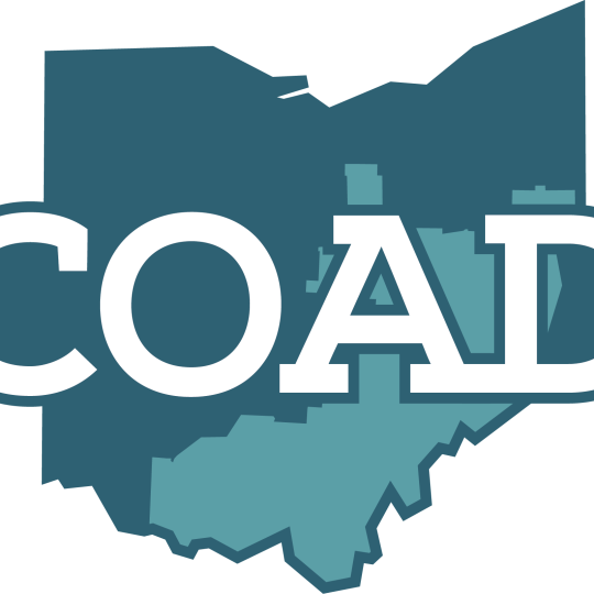 Organization Logo