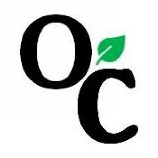 Organization Logo