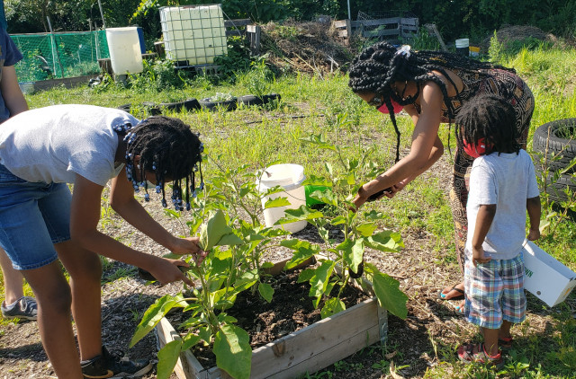 Organization Photo  (161061)