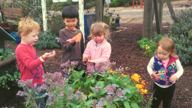 Organization Photo  (181315)