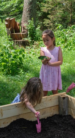 Organization Photo  (181280)