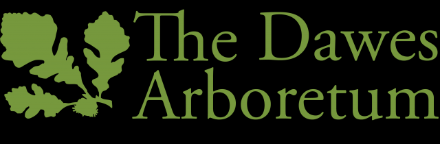 Organization Photo  (181696)