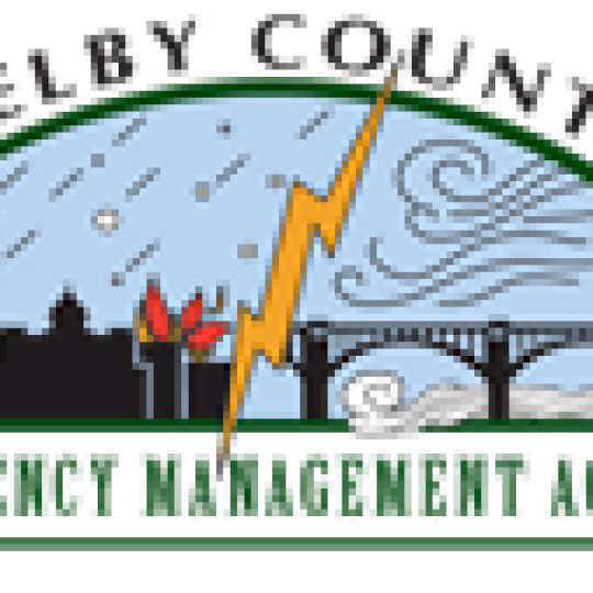 Organization Logo