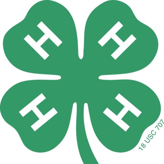 Organization Logo