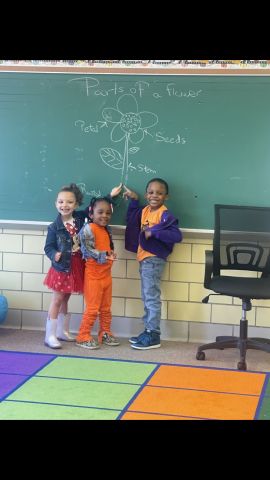 Organization Photo  (191142)