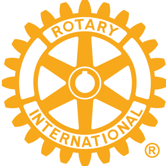 Organization Logo