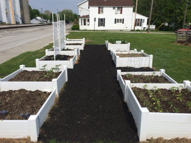 Organization Photo  (210037)