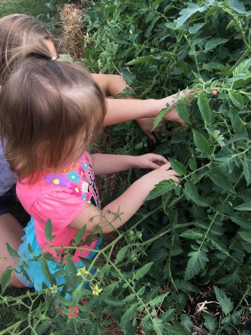 Organization Photo  (210036)