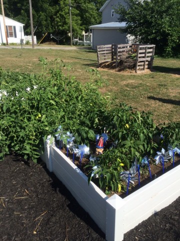 Organization Photo  (210035)