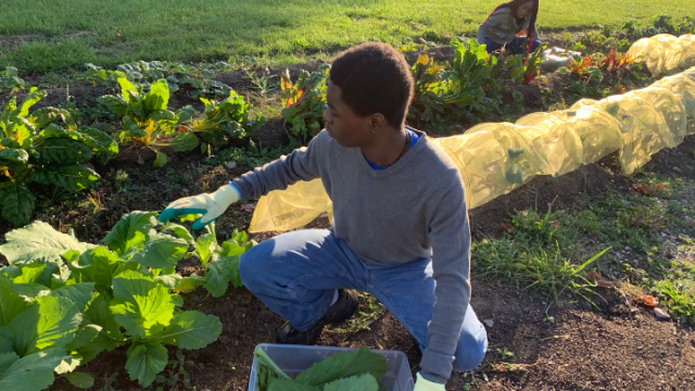 Organization Photo  (214961)