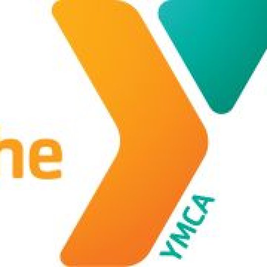 Organization Logo