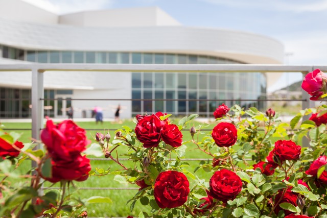 Program Photo  (188158)