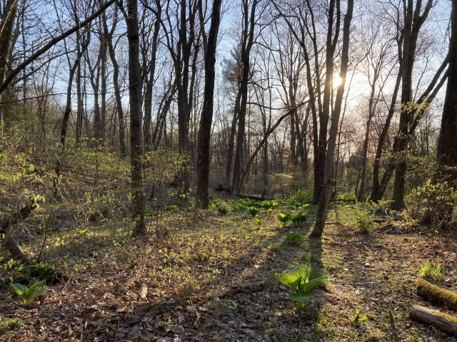 Organization Photo  (172890)