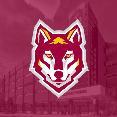 Organization Logo