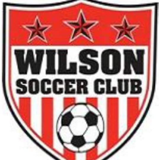 Organization Logo