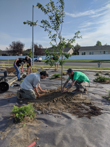 Program Photo  (164138)