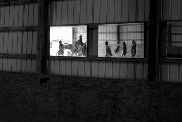 Agency Photo  (172965)