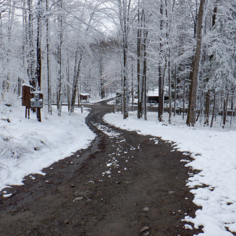 Agency Photo  (167099)