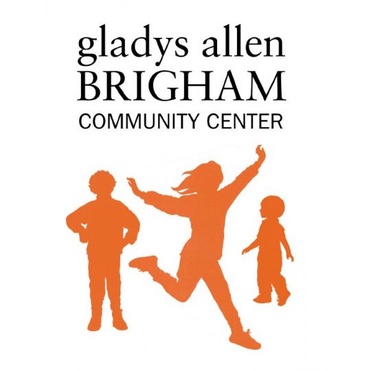 Agency Logo
