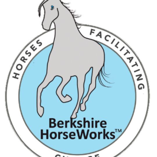 Agency Logo