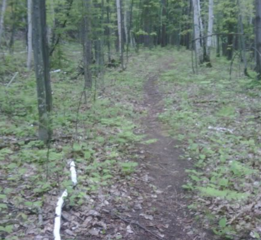 Agency Photo  (272985)