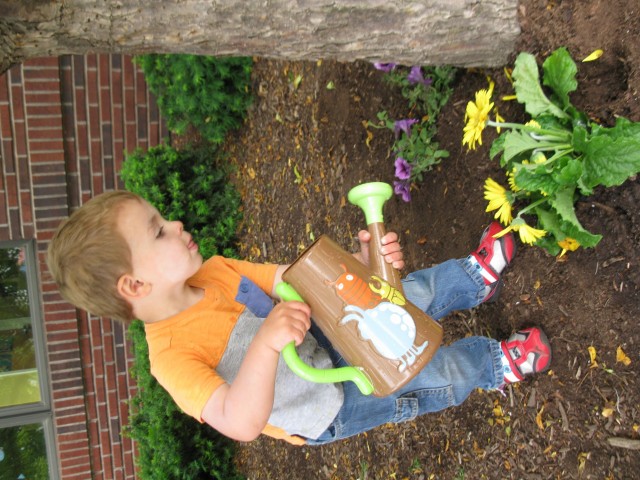 Agency Photo  (212702)