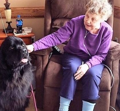 Agency Photo  (241420)