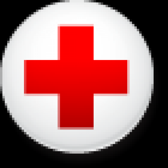 Program Logo