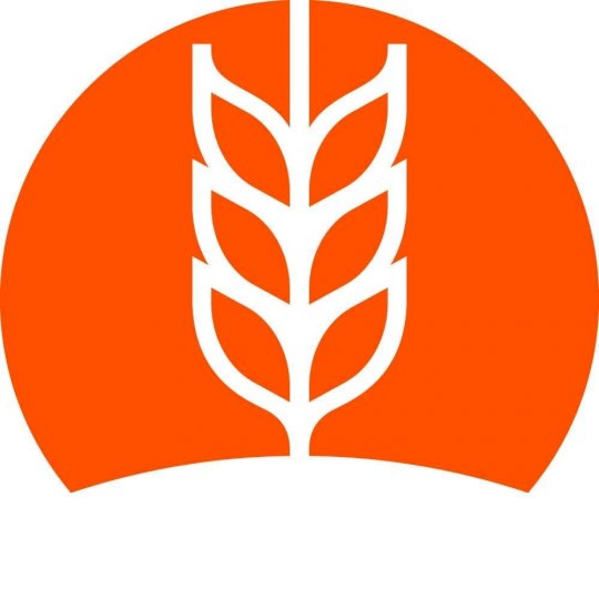 Program Logo