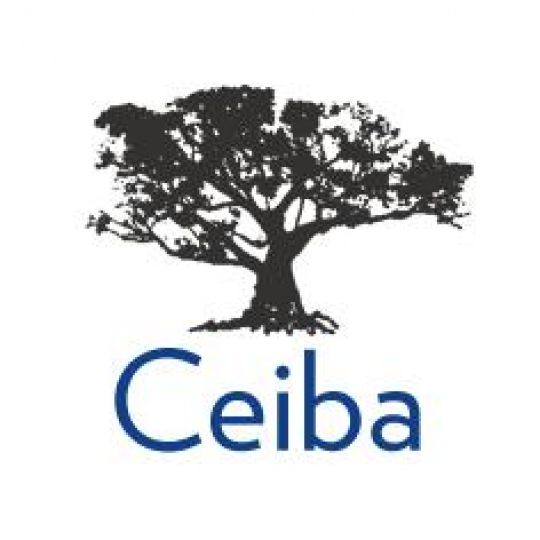 Organization Logo