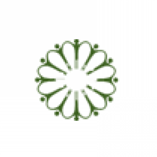 Organization Logo
